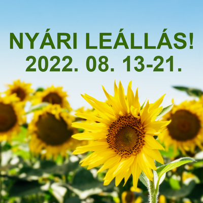 Nyári leállás